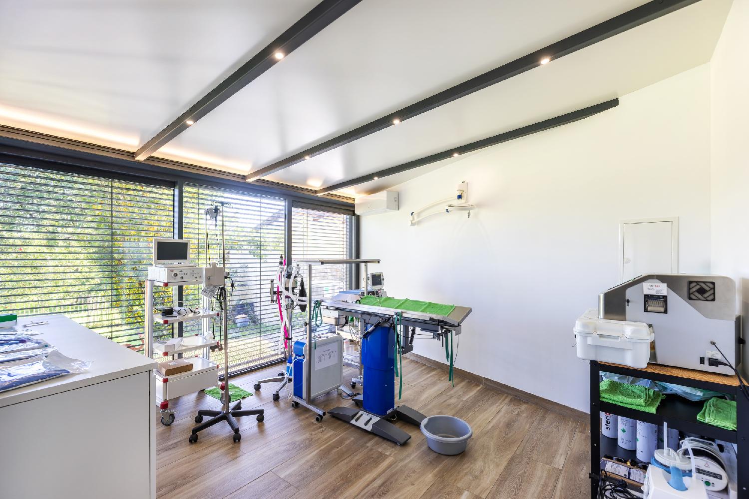 Extension cabinet vétérinaire en véranda