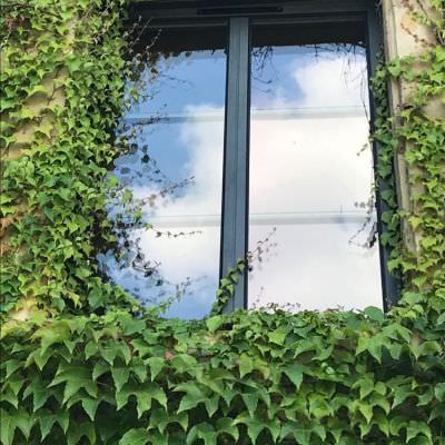 Fenêtre Fenêtre