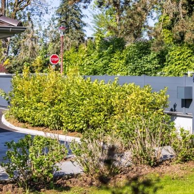 Clôture aluminium sur muret