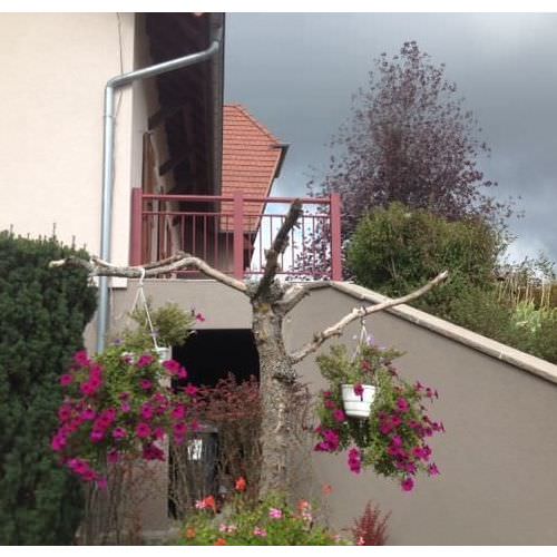 Réalisations : les Archives